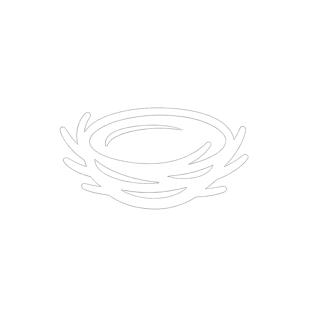 nidofy logo